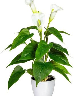 Kunstpflanze Lesum Calla, my home, Höhe 44 cm, im Topf