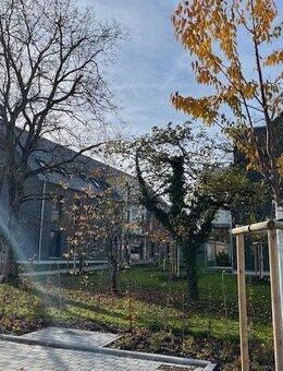 4 Zimmer Neubau-Wohnung in Eggolsheim - Eggolsheim