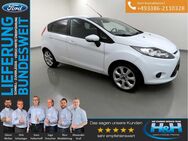 Ford Fiesta, 1.2 5 Viva Ganzjahres, Jahr 2010 - Premnitz