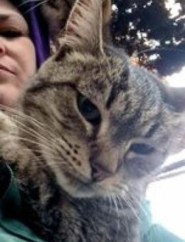 Leja 😸 ❤️ - Rambin