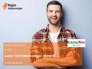 Junior-Vertriebsmanager (m/w/d) - Kleinlangheim