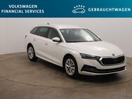 Skoda Octavia, 2.0 TDI Combi Style 110kW, Jahr 2022 - Braunschweig