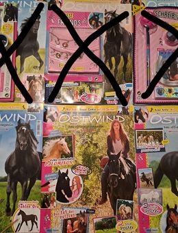 Pferdezeitschriften ( Wendy, Ostwind, Lissy etc. ) - Berlin Steglitz-Zehlendorf