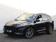 Ford Kuga, 1.5 EB ST-Line X Fahrer Paket, Jahr 2020 - Stutensee