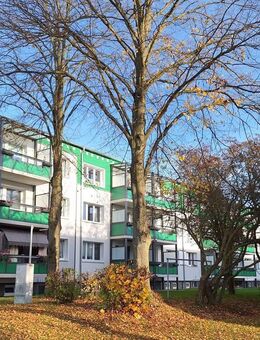 1-Zimmer-Wohnung im EG - Bobitz