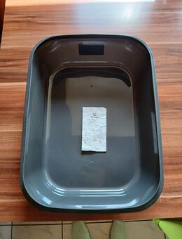 Katzenclo - Düsseldorf