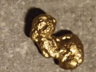 Echte Alaska Nuggets - Köthen (Anhalt)