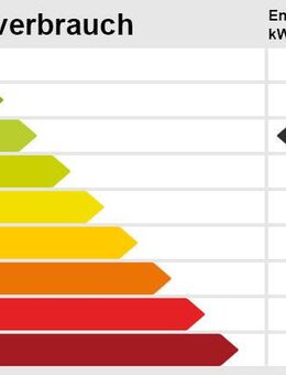 Ein Schmuckstück in Wustrow im Wendland - komplett saniert- - Wustrow (Wendland)