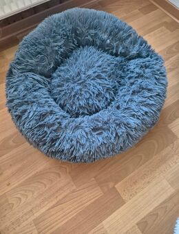 Katzenkuschelbett - Schkeuditz