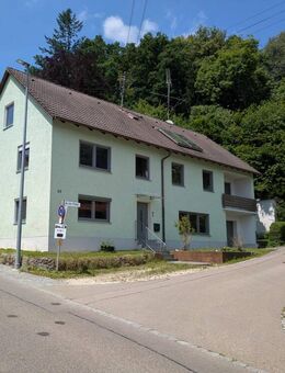 Interessantes Haus mit viel Platz in Neuburg/Kammel - Neuburg (Kammel)