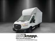 Ford Transit, Einzelkabine Trend 350L4, Jahr 2022 - Frankenthal (Pfalz)