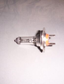 4003 H7 HALOGENLAMPE 12V LONGLIFE - Hannover Vahrenwald-List