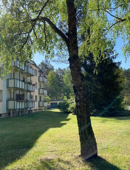 Ihre idyllische 3-Zimmer-Wohnung im Süden Berlins, optional mit Garten - Rauen