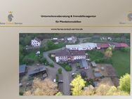 Reiterhof mit Jugendunterkünften & Hotelbetrieb – Bestehender Betrieb, treue Gäste, starke Perspektive - Deudesfeld
