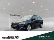 Skoda Fabia, Cool Plus 44kw, Jahr 2019 - Niestetal