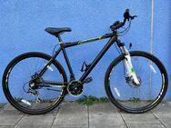 MTB Top Zustand - München