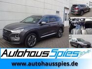 Hyundai Santa Fe 2.2 CRDi 4WD Premium ACC 360Kam Pano EU6d-T - Heilbronn