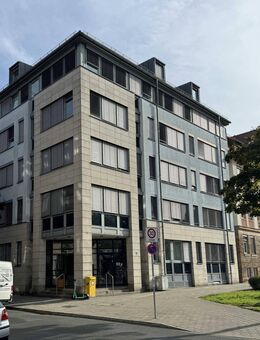 Moderne 2-Zimmer-Wohnung im Herzen von Fürth und mit Blick auf den Pegnitzgrund - Fürth