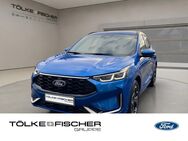 Ford Kuga, 2.5 Duratec VERFÜGBAR, Jahr 2024 - Krefeld