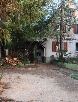 HISTORISCHES SANIERUNGSOBJEKT MIT POTENZIAL - Endingen (Kaiserstuhl)