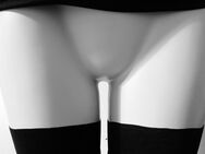 Die Schönheit und Faszination der Vulva – ein erotisches Projekt (biete TG) - Würzburg