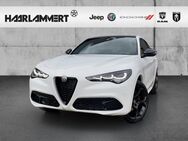 Alfa Romeo Stelvio, 2.0 Tributo Italiano Q4, Jahr 2024 - Hasbergen