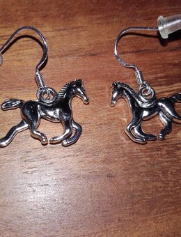 Pferdeohrringe mit Haken aus 925 Silber - Thaleischweiler-Fröschen