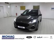 Ford Kuga, ST-Line X, Jahr 2021 - Essen