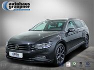 VW Passat Variant, 2.0 TDI Business, Jahr 2024 - Brandis