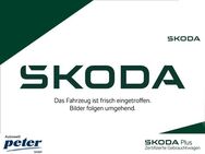 Skoda Scala, DRIVE 125, Jahr 2019 - Nordhausen