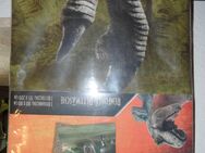 Renforce-Bettwäsche JURASSIC WORLD originalverpackt. - Simmerath