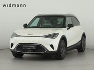 smart #1, Premium, Jahr 2024 - Aalen