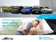 VW Tiguan, 2.0 TDI Life, Jahr 2024 - Kempten (Allgäu)