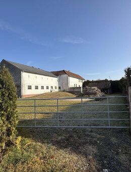 EIFEL* Lissendorf *** ROHDIAMANT *** Sanierungsobjekt ** Nahe B421/B51/A60 ** EFH * Büro * Praxis * Werkstatt * Atelier * Tiere * Pendler * Köln-Bonn* - Lissendorf