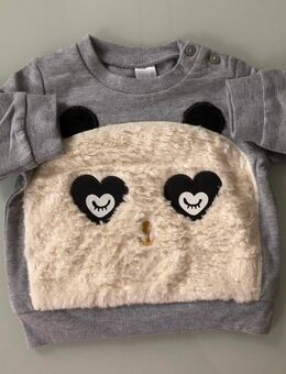 Baby Jungen Mädchen Kinder Sweatshirt flauschiger Panda Bären-Applikation Pulli Pullover Bluse Langarmig Longsleeve Baumwolle Grau Weiß 3D NEU Baby Club Gr. 62 - Albstadt