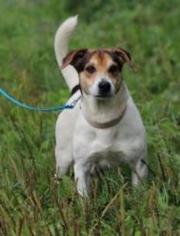 ENZO - mittendrin ist es am besten - Overath