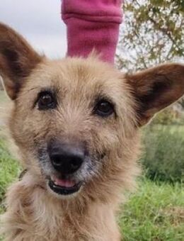 Struppelmaus ELZA 2 - Gefrees