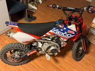 ** YCF Racing 125ccm Pitbike ** - Darmstadt