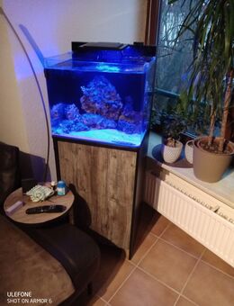 Komplettes,Meerwaser Blue Marine Reef 90 Aquarium ! - Hamburg