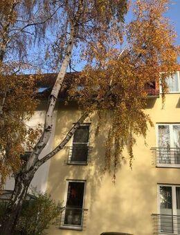 Charmante Dachgeschosswohnung mit 2,5 Zimmern in Weimar-Nohra - Weimar