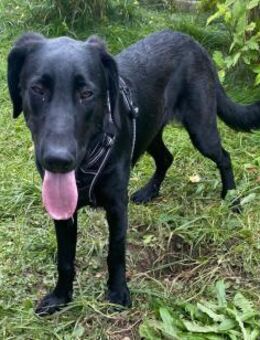 Samuel der liebevolle Teenager - Kissing