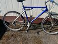 26 Zoll Mountainbike in 50737