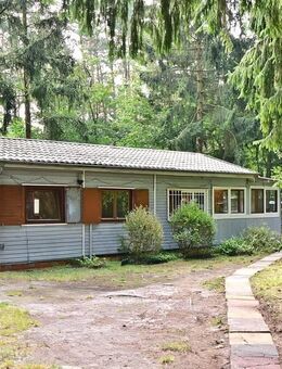 Holzhaus im Esseler Wald - Essel