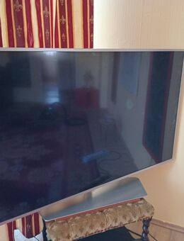 Philps Fernsehr 55 PUS 6551/12 - Berlin Spandau
