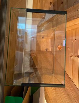 Terrarium 40x30x30 Falltür doppelbelüftet - Böbrach