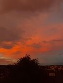 WG-ZIMMER in Wuppertal- Elberfeld in 42105