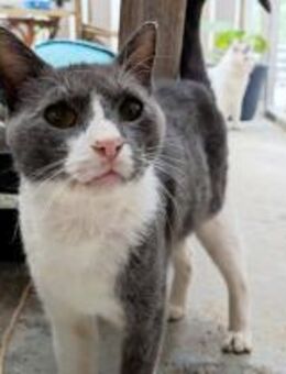 Marco - kämpft sich zurück ins Leben - Bochum