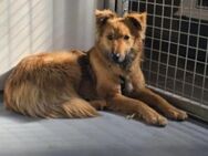 Unsere schüchterne Dani sucht Dich - Kallmünz