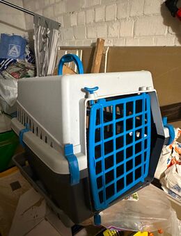 Transportbox für katze und hunde - Rheine Zentrum