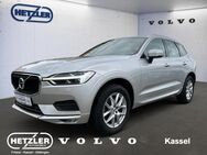 Volvo XC60, B4 D AWD digitales HarmanKardon, Jahr 2020 - Kassel